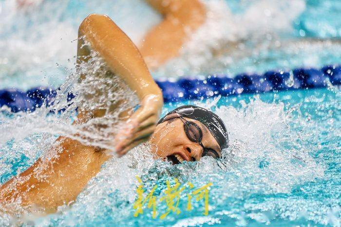 激情四射!游泳比赛掀起观众热潮